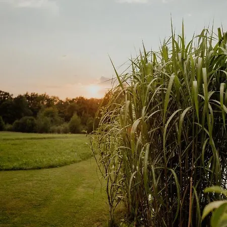 Lipa Pod Groniem Holiday home