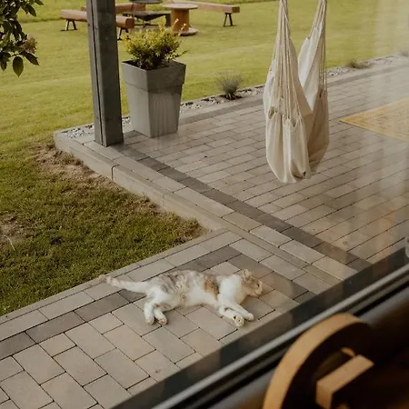 Lipa Pod Groniem Holiday home *