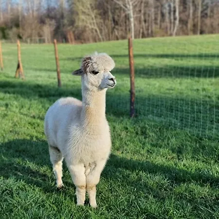 Lipa Pod Groniem Holiday home Ustron