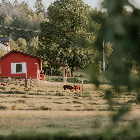 Lipa Pod Groniem בית נופש *