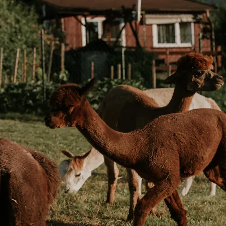 בית נופש Lipa Pod Groniem אוסטראון