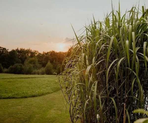 Lipa Pod Groniem Dom wakacyjny