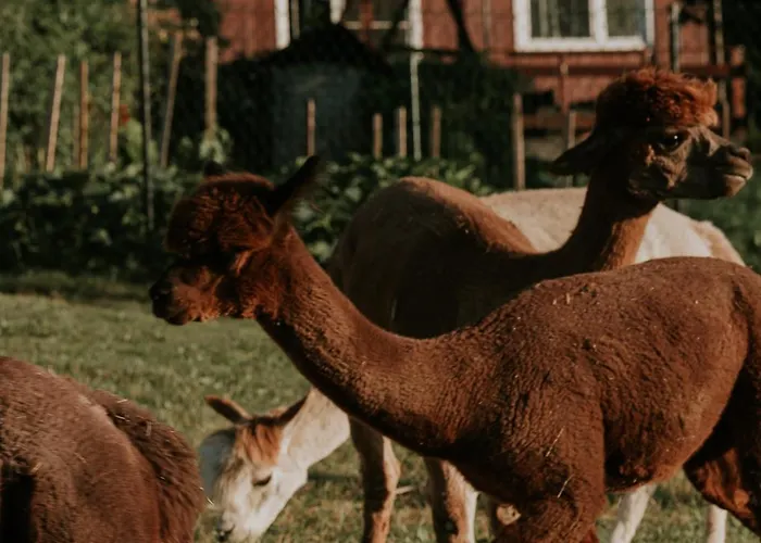 בית נופש Lipa Pod Groniem אוסטראון